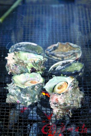 广州7人疑食生蚝中毒 业内:生蚝烧烤多不新鲜