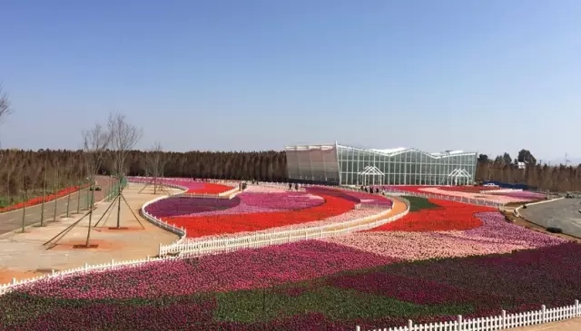 hua (1)