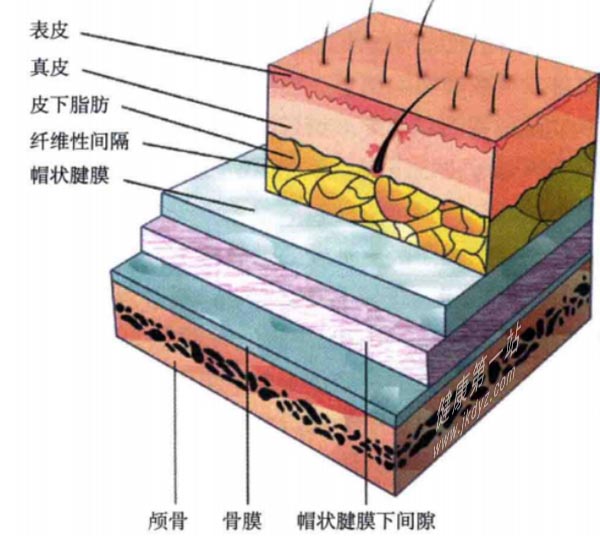 近期处处可见植发广告，到底对人体的有没有危害？